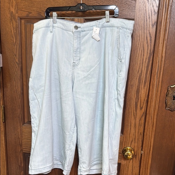 Lane Bryant Blue Jean Shorts Casual Summer Style - Picture 1 of 8